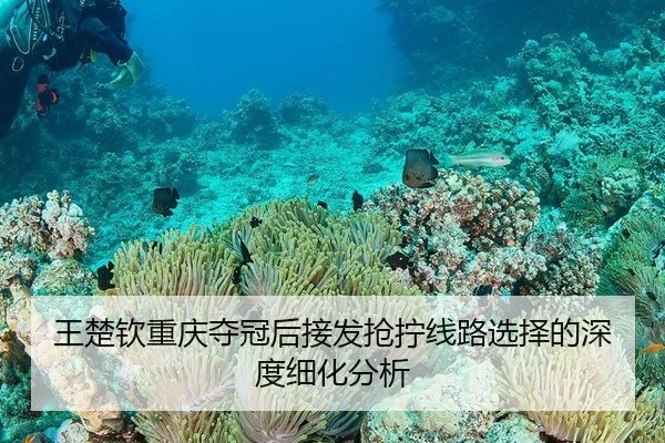 王楚钦重庆夺冠后接发抢拧线路选择的深度细化分析